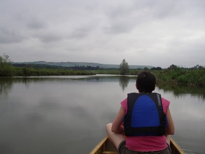 South Downs from the River Arun