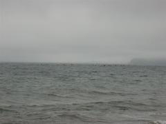 Setting off from Pwllheli (click to enlarge) Sea kayakers setting off from Pwllheli